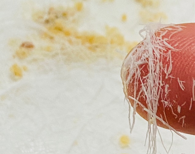 王タレの龍の髭アップ